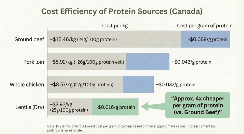 Cost per gram of protein in Canada comparing ground beef, lentils, chicken and pork showing lentils as the cheapest option